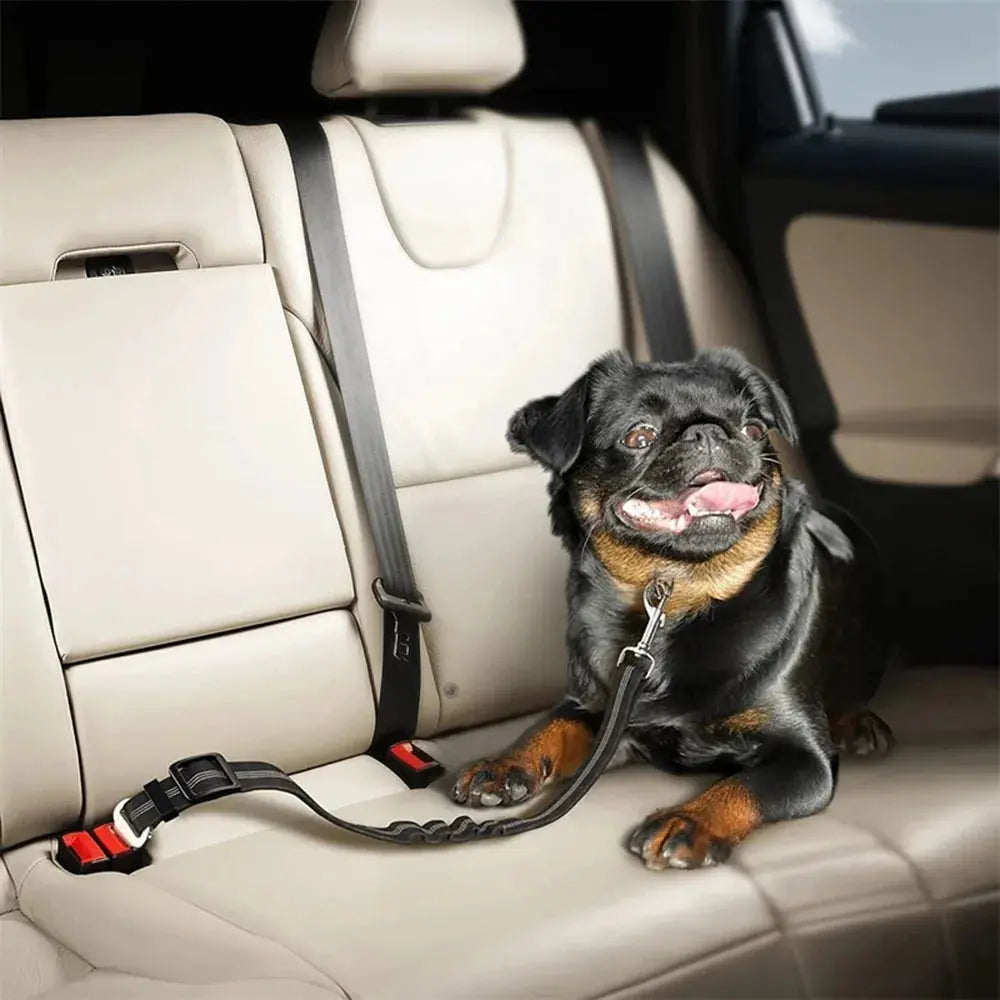 elastic seat belt Elastic Nylon Retractable Seat Belt WLP Company