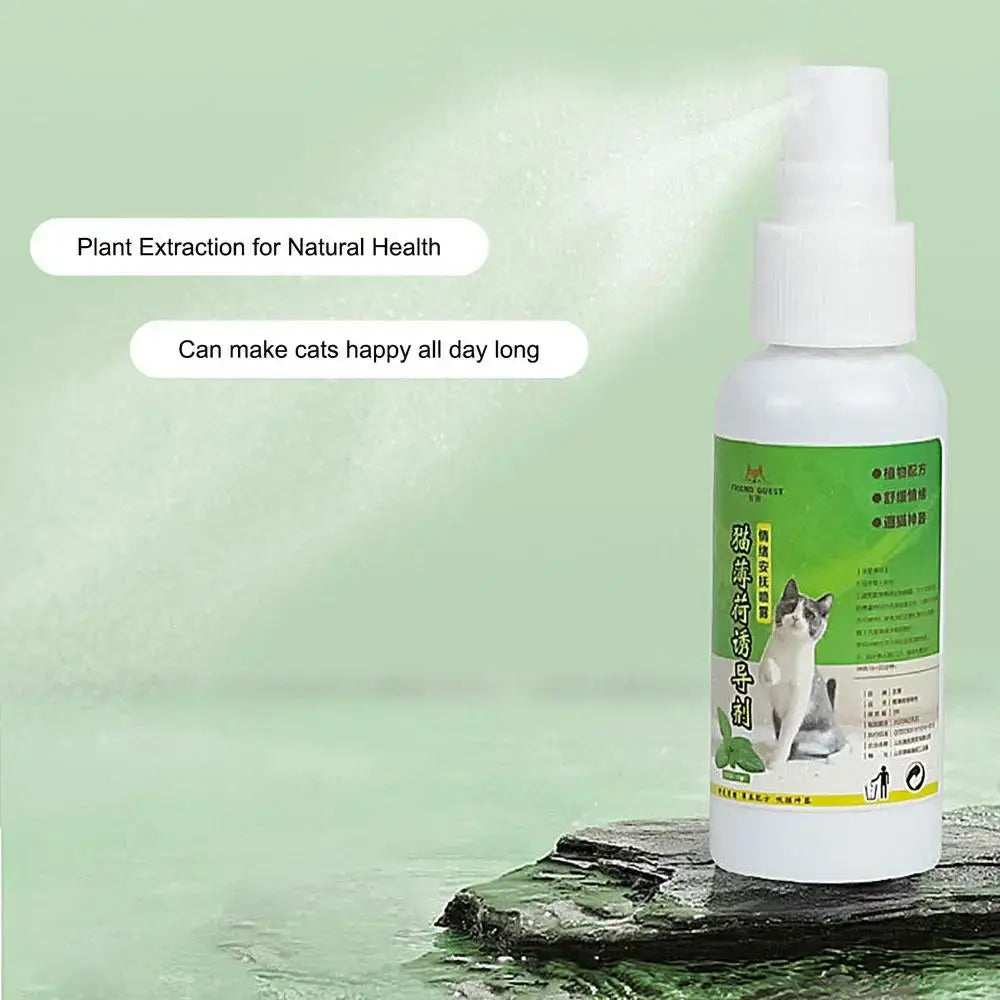 50ml Natural Catnip Cat Spray Cat Calming Mint Spray Happy Water Cat Herb Inducer Pet Accessories For Kittens Cats WLP Company