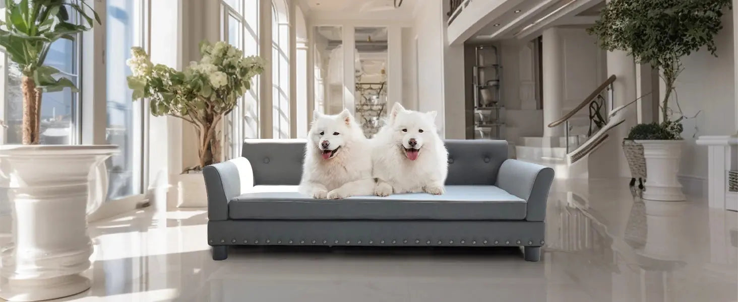 elevated dog bed Pet Bed for Medium and Large Dogs, Durable Elevated Dog Sofa Bed, Comfortable Dog Couch, Modern Dog Sofa WLP Company