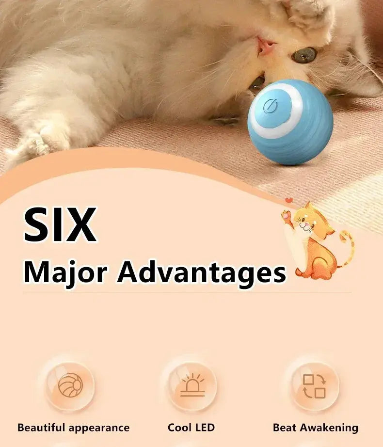 Cat Interactive Ball Smart Cat Toys for Pet Indoor WLP Company