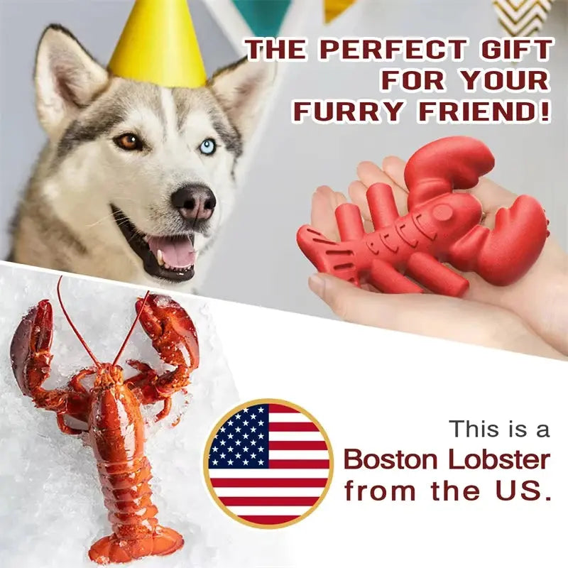 Big Dog Toy Chew Toy Molar Toothbrush Toy Tug-of-War Game Bulldog Anxiety Relief Interactive Lobster Shaped Pet Supplies WLP Company