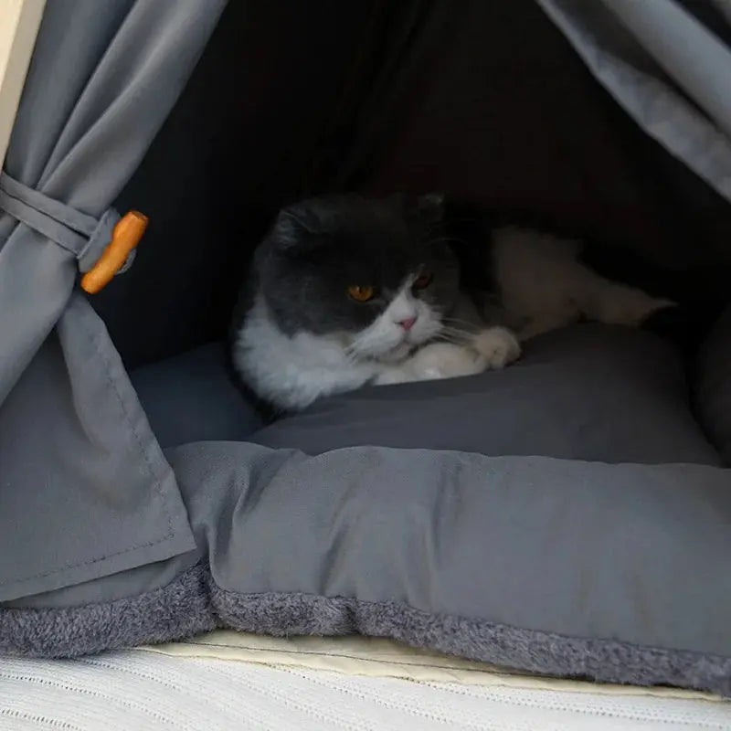 Travel Pet BedTravel Foldable Pet Bed - Portable Comfort for Your Furry Friend WLP Company