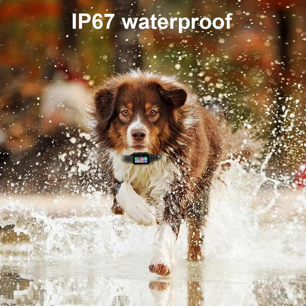 Wireless Pet Fence Remote Training Dogs Shock Collar WLP Company