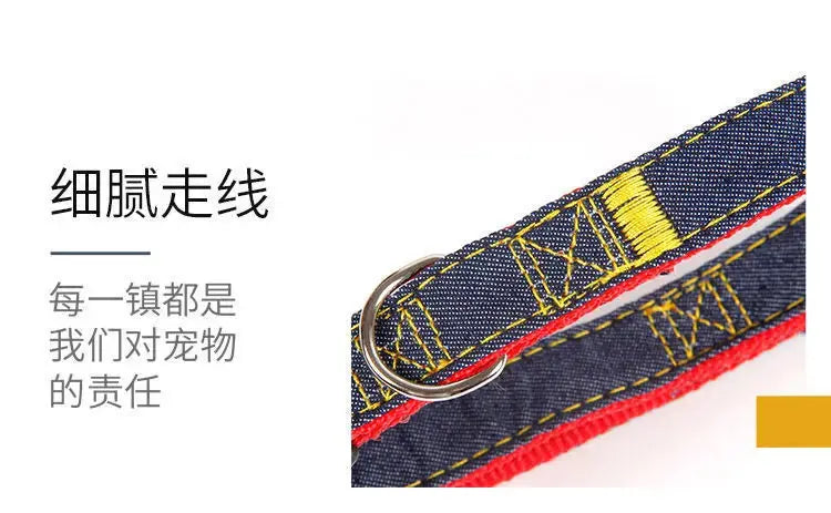 Comfort Style Long Dog Leash WLP Company