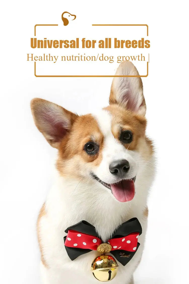 Dog Snacks Freeze-dried Spring Fish Large Full Seed Dried Pet Fish WLP Company