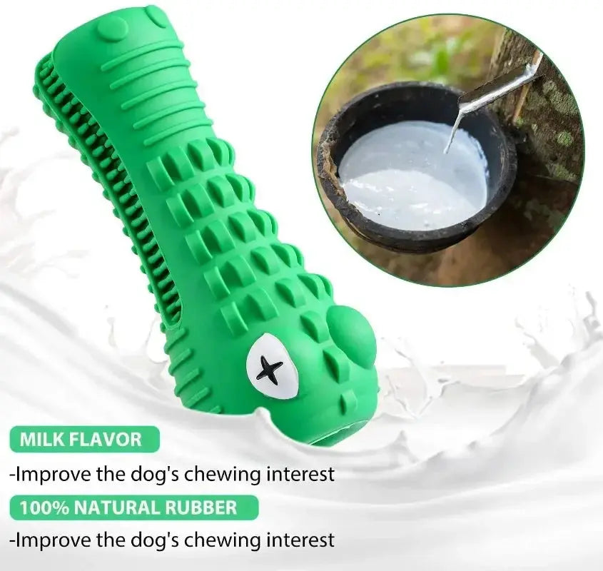 Pet Dog Chew Toys Rubber Chew Toy Aggressive Chewers Dog Toothbrush Doggy Puppy Dental Care For Dog Pet Accessories WLP Company