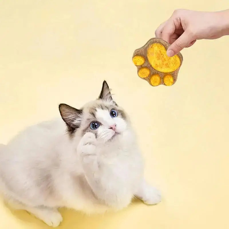 Pet Cat Snacks Freeze-dried Cats Snacks Cat Claw Snacks Cat Dog Universal Snacks Train To Get Rewarded Pet Treats Kitty Food WLP Company