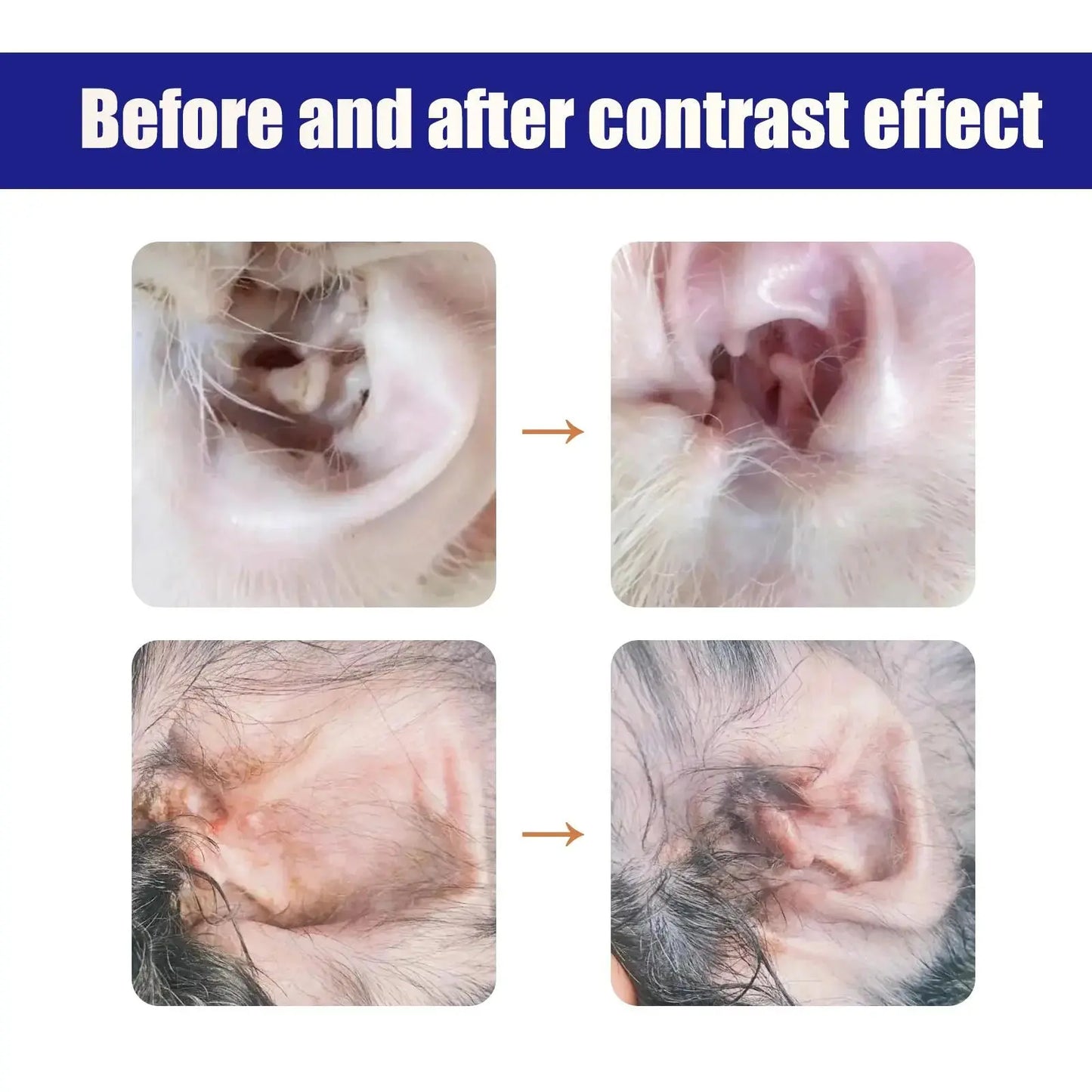 50 ml Pet Ear Drops Gentle Cleaning Ear Mites And Earwax In Cats & Dogs Inhibiting Ear Bacteria WLP Company