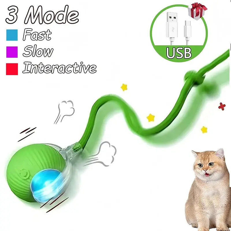 Cat toys Cat Interactive Ball Toys Automatic Rolling Ball Faux Tail Rechargeable Smart Pet Electric Toy Dog Cat Training Imitate Mouse WLP Company