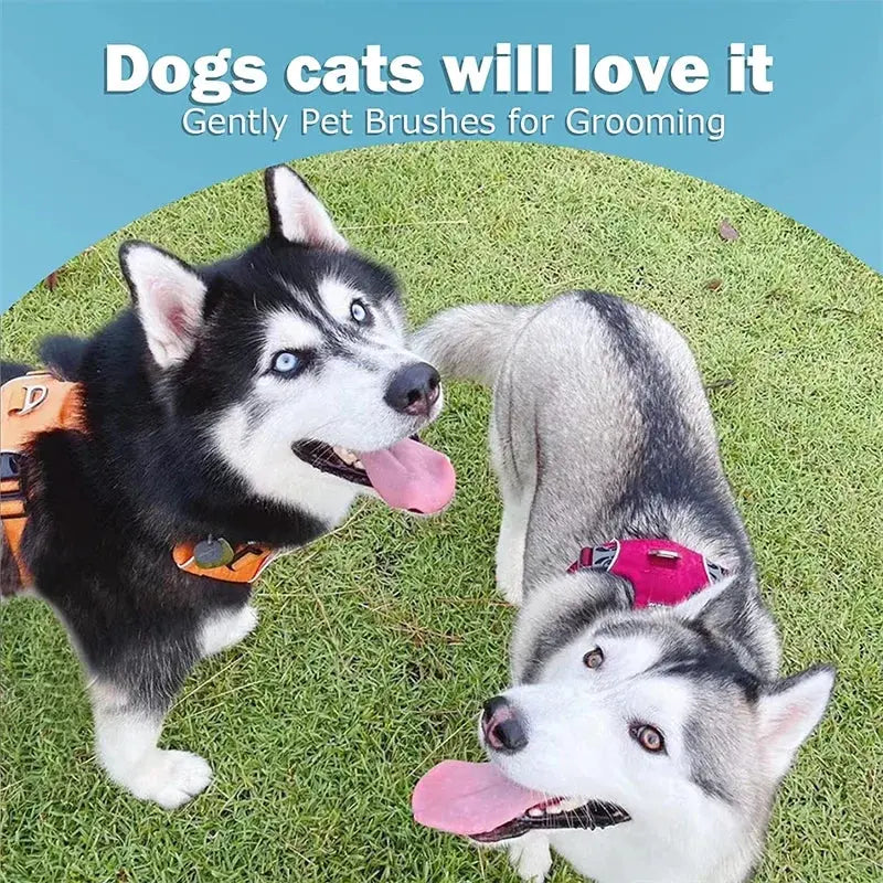 Professional Pet Deshedding Brush | 2 Sided | Reduce Shedding - PetGroom WLP Company