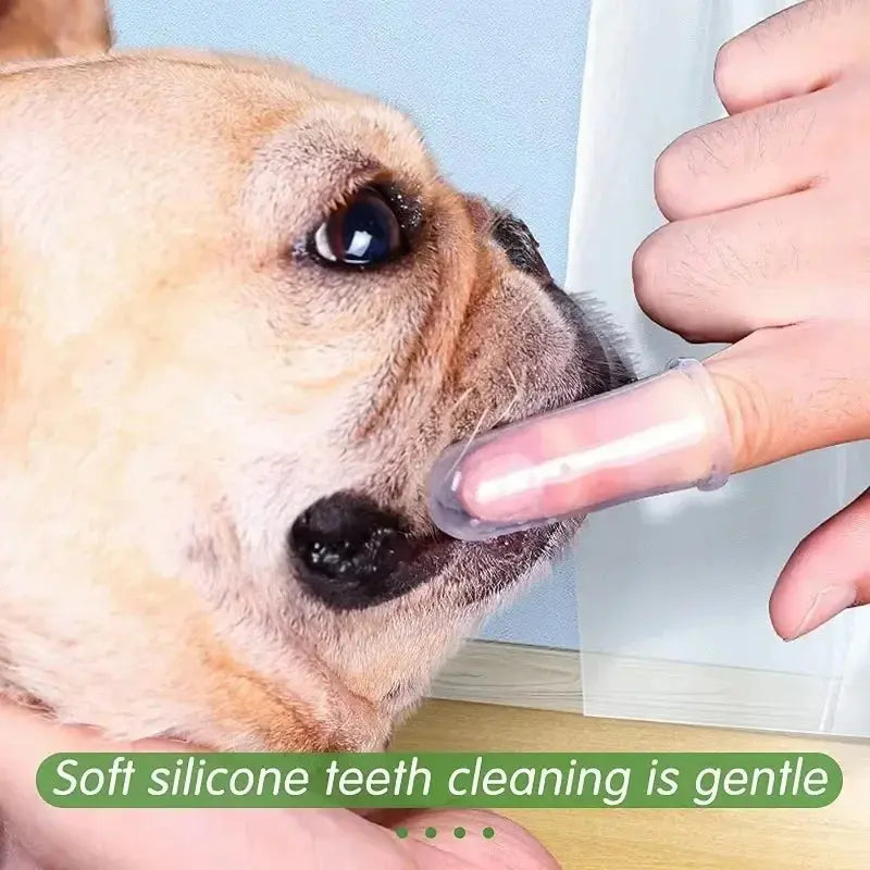 Pet Toothbrush Super Soft Pet Finger Toothbrush Teddy Dog Brush Bad Breath Tartar Teeth Care Tool Dog Cat Cleaning Silicagel Pet Supplies WLP Company
