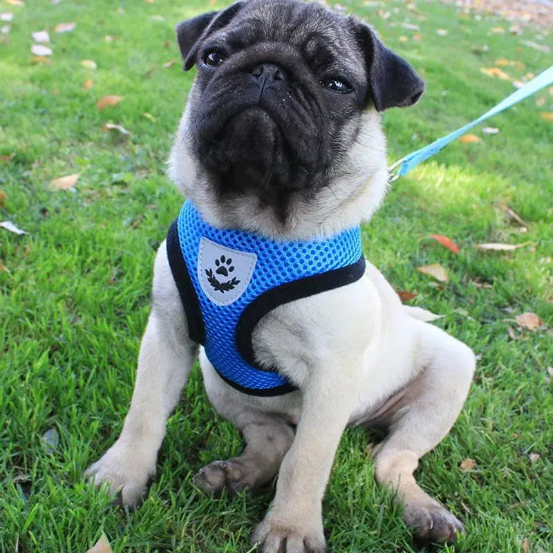 cat harness and Dog Harness Lead Leash Adjustable Vest Polyester WLP Company