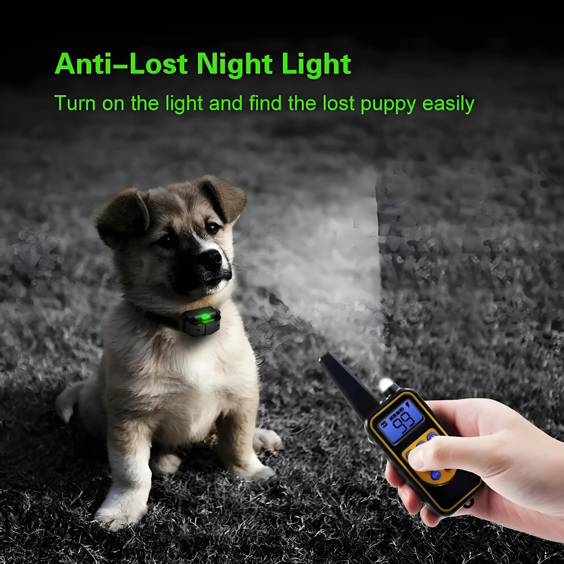 Professional Dog Training Collar with LCD Screen - 800m Range Waterproof System WLP Company