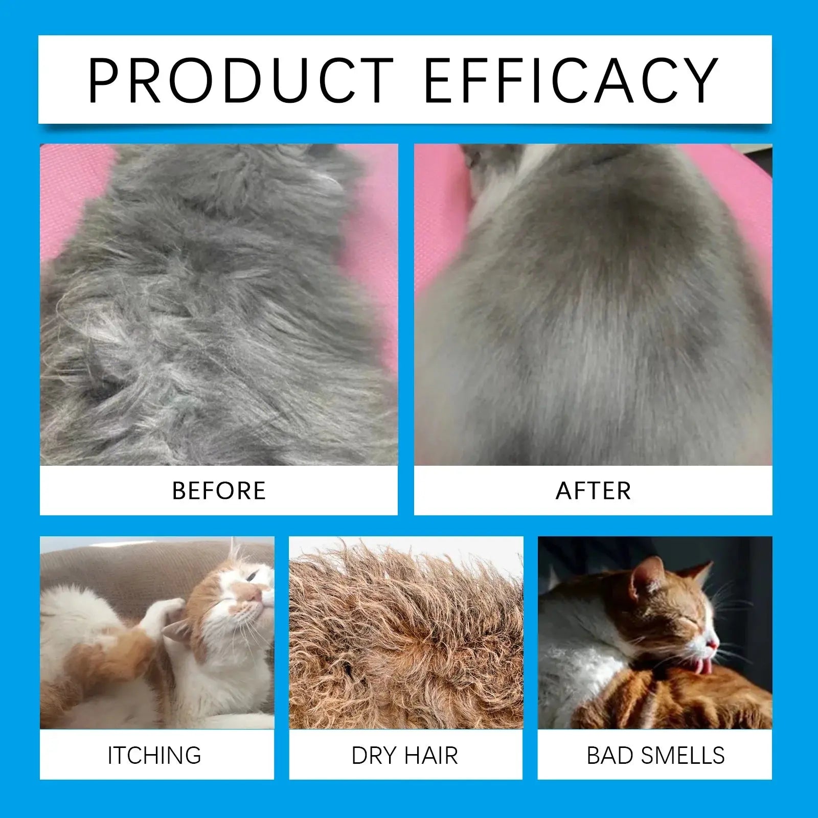 Waterless Dog Shampoo Moisturizing Hair Body Deodorizing Dry Cleaning Body Wash Conditioner Itch Relief Mite Pet No Washing Gel WLP Company