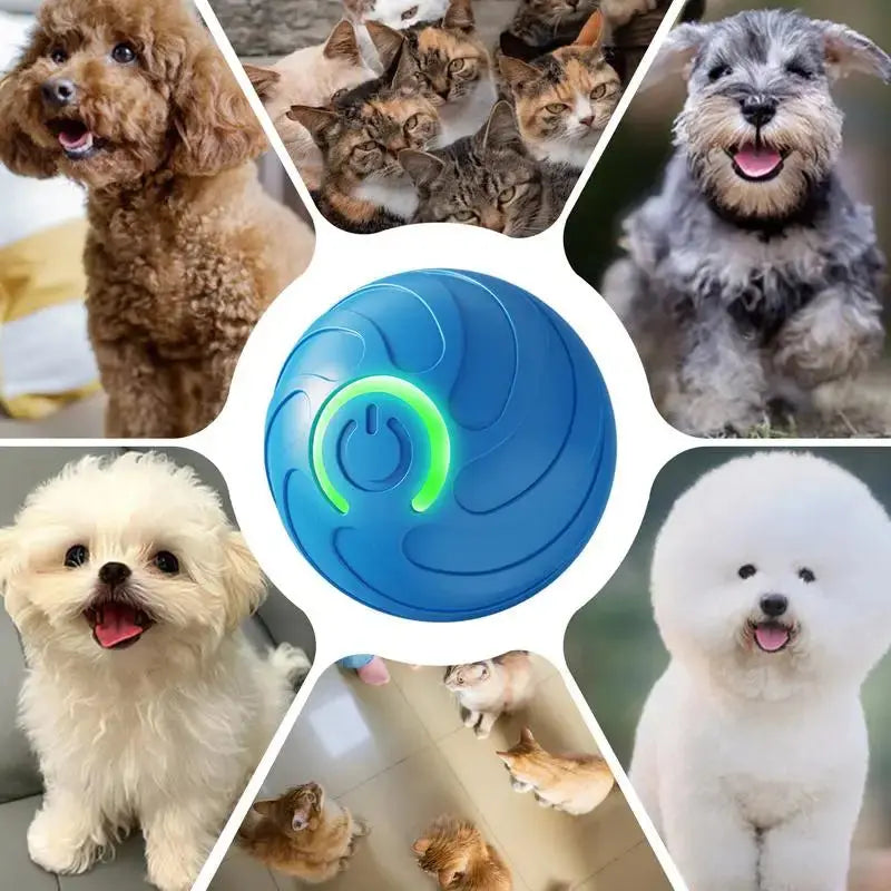 1PC Smart Dog Toy Ball Electronic Interactive Pet Toy Moving Ball USB Automatic Moving Bouncing For Puppy Kitten Birthday Gift WLP Company