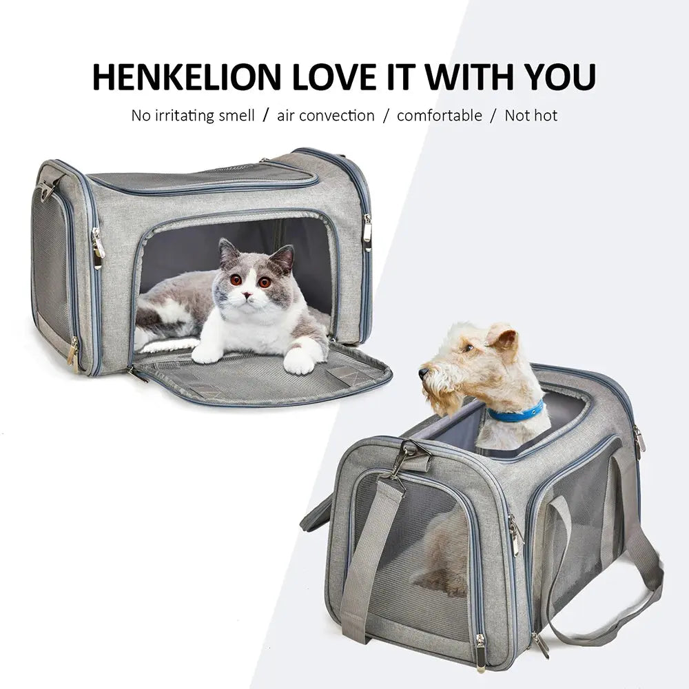 Airline Approved Dog Carrier Airline Approved Soft Side Dog Travel Carrier WLP Company