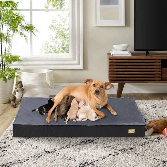 Dog Beds for Large Dogs, Orthopedic Dog Bed for Medium Large Dogs Waterproof Lining, and Non-Slip Bottom, Machine Washable WLP Company