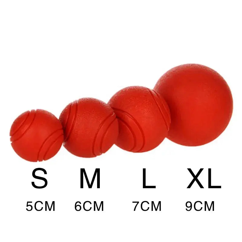 dog toy HOOPET Dog Bite-resistant Rubber Toy Ball - Ultimate Durability & Fun WLP Company