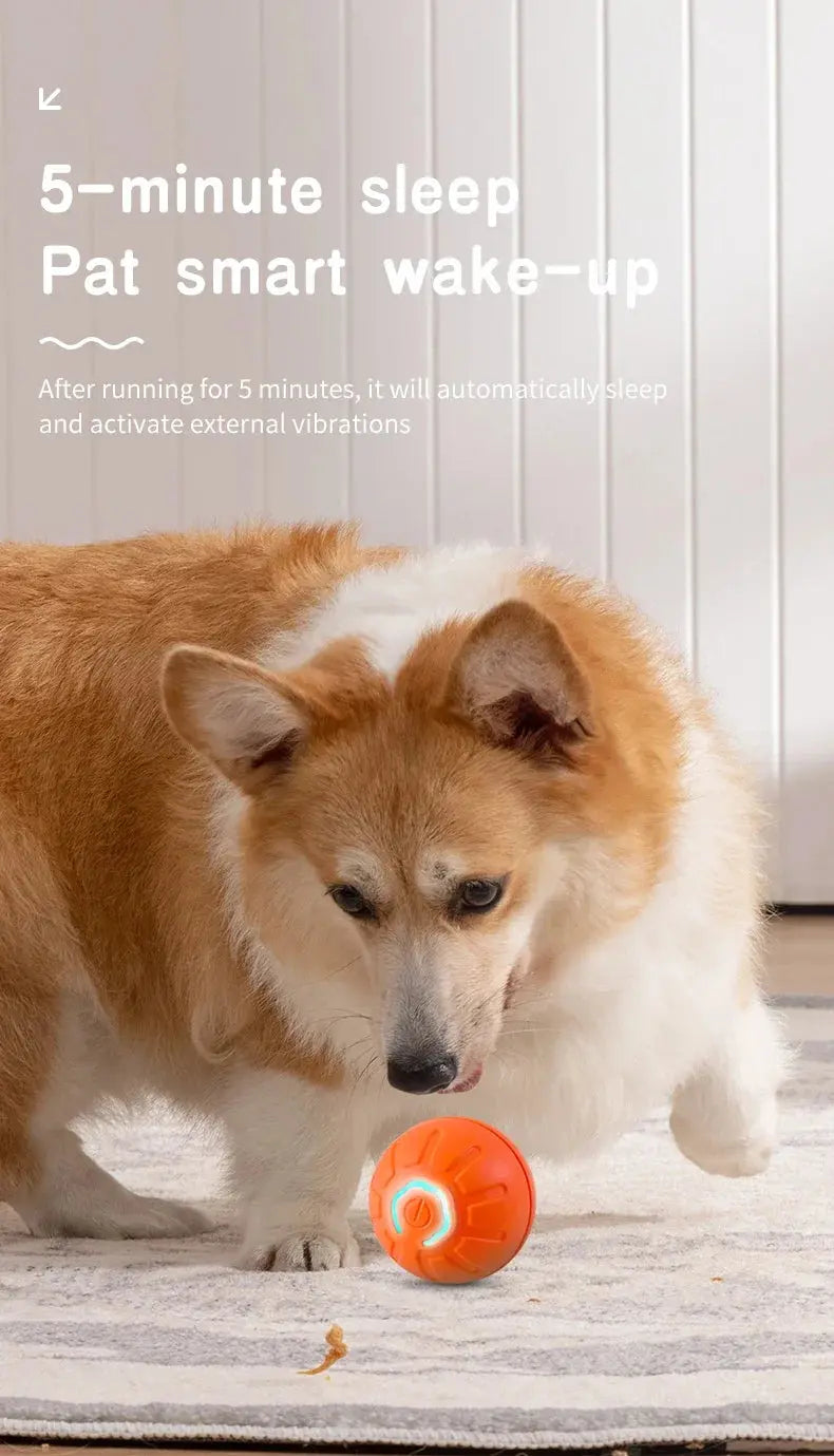 Smart Dog Toy Ball Electronic Interactive Pet Toy Moving Ball USB Automatic Moving Bouncing for Puppy Birthday Gift Cat Product WLP Company