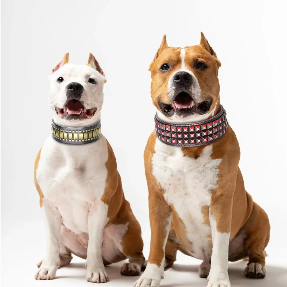 luxurious dog collar Luxurious Dog Real Leather Collar for Pet shows WLP Company