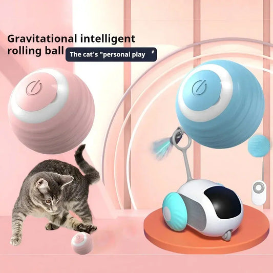 Cat Interactive Ball Smart Cat Toys for Pet Indoor WLP Company