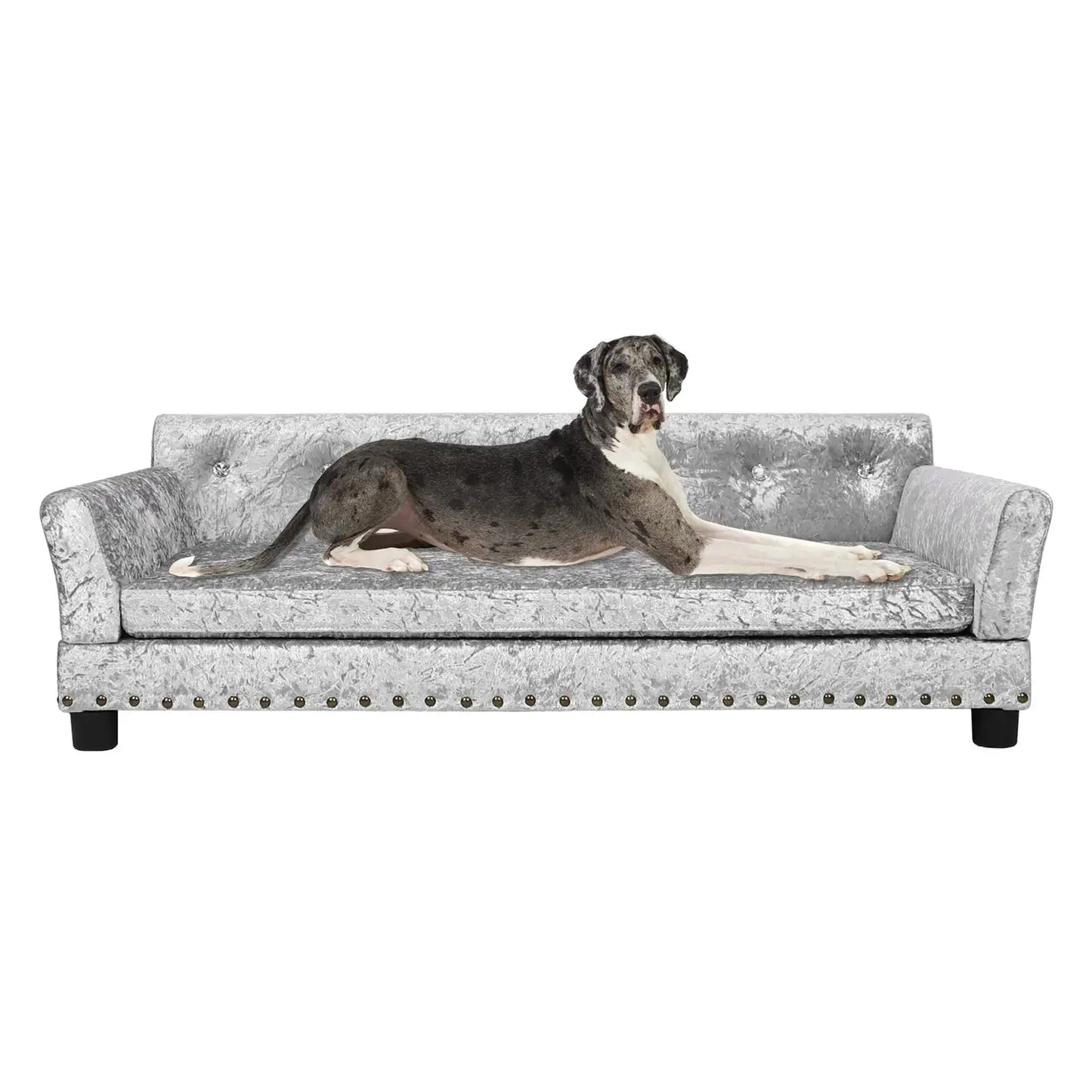 BingoPaw Large Dog Sofa Bed Deluxe Tufted Elevated Jumbo Dog Couch Bed Made Velvet - Pet Giant Snuggle Sofa Lounger Memory Foam WLP Company