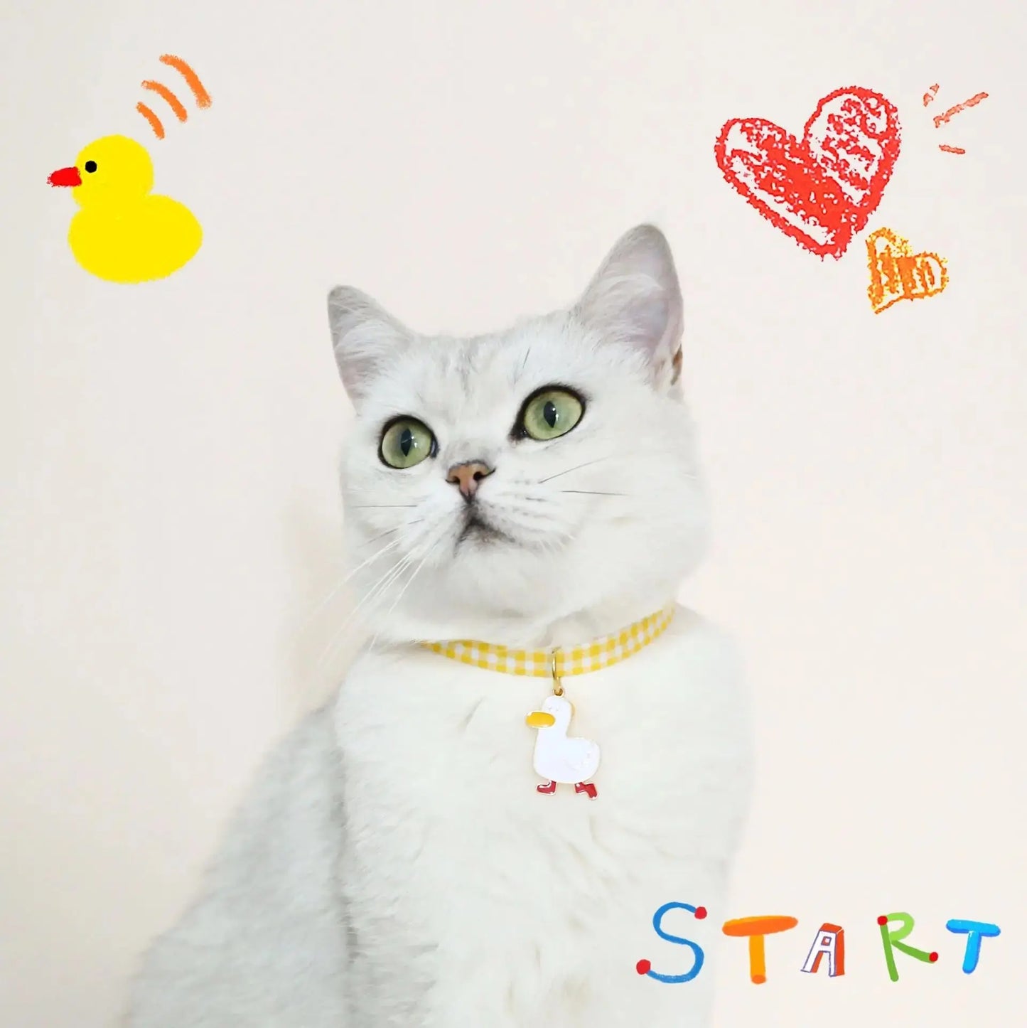 Pet Safety Necklace WLP Company