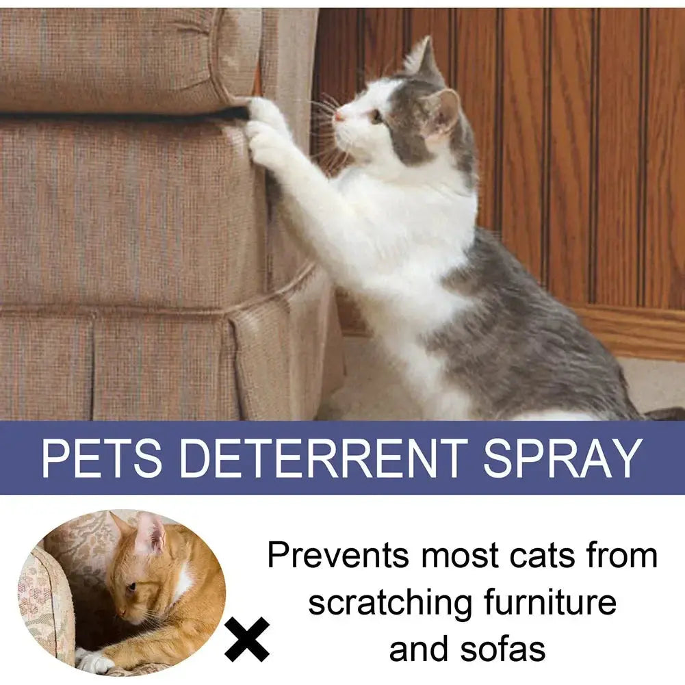 Cat Scratch Deterrent Spray Natural Scratching Training Aid Spray No Stimulation Orange Fragrance Sofa Furniture Protectors WLP Company