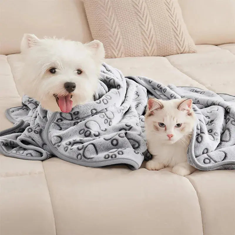 2PCS Soft Fluffy High Quality Pet Blanket Cute Cartoon Pattern Paw Print Dog Pet Mat Warm and Comfortable Blanket for Cat Dogs WLP Company