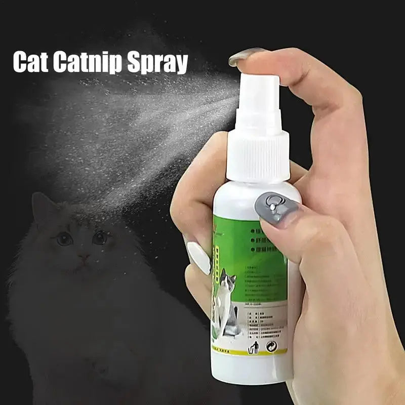 50ml Natural Catnip Cat Spray Cat Calming Mint Spray Happy Water Cat Herb Inducer Pet Accessories For Kittens Cats WLP Company