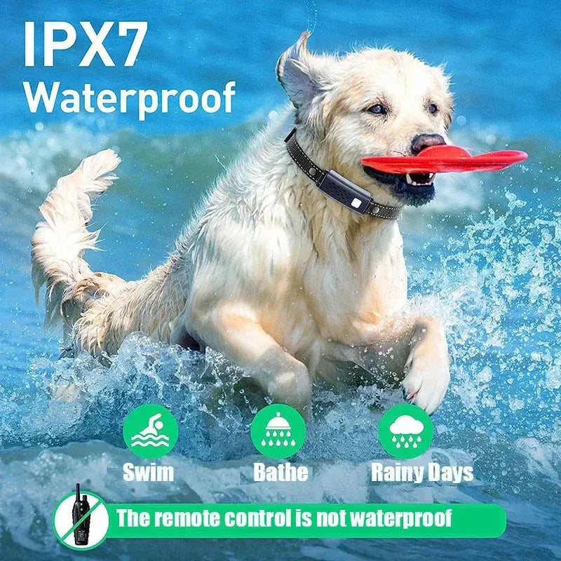 1000m Smart Dog Training Collar with Remote Electric Shocker Suitable for Preventing Dog Barking Pet Behavior Training Supplies WLP Company