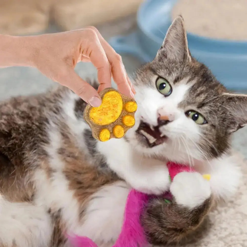 Pet Cat Snacks Freeze-dried Cats Snacks Cat Claw Snacks Cat Dog Universal Snacks Train To Get Rewarded Pet Treats Kitty Food WLP Company