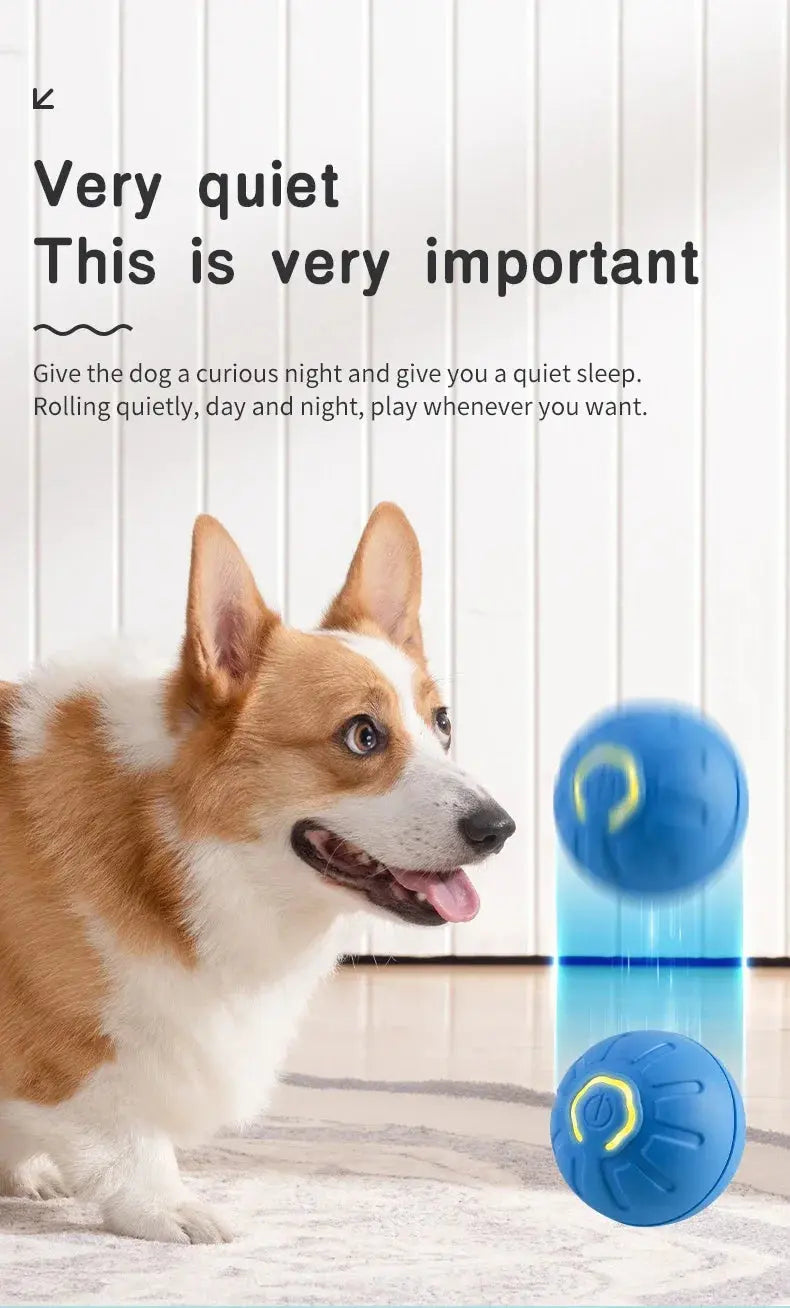 Smart Dog Toy Ball Electronic Interactive Pet Toy Moving Ball USB Automatic Moving Bouncing for Puppy Birthday Gift Cat Product WLP Company