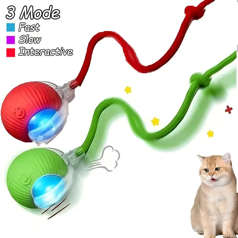 Cat toys Cat Interactive Ball Toys Automatic Rolling Ball Faux Tail Rechargeable Smart Pet Electric Toy Dog Cat Training Imitate Mouse WLP Company