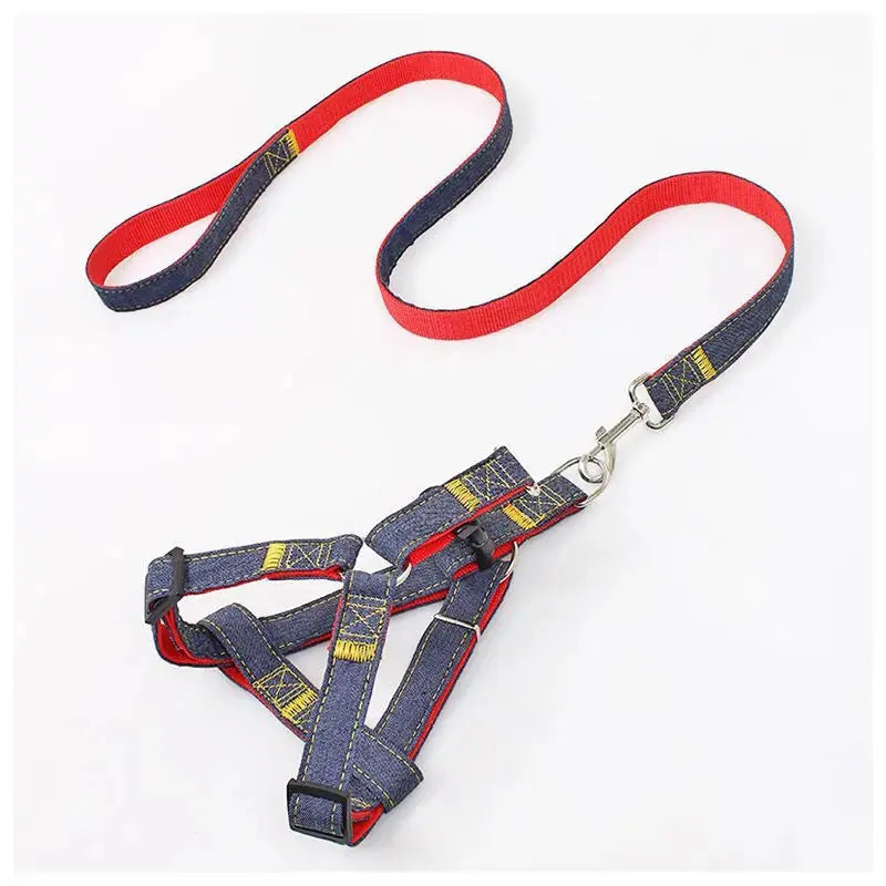 Comfort Style Long Dog Leash WLP Company