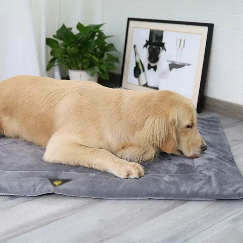 Dog Bed Self Heating Pet Pads Dog Blanket Cat Bed Puppy Pet Thermal Mat Blanket Sofa Cushion Home Winter Warm Sleeping Cover WLP Company