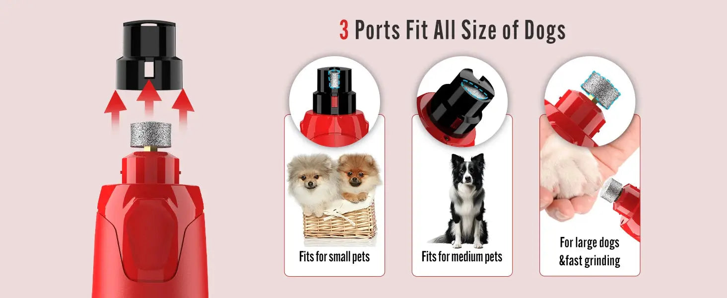 Dog Nail Grinder Dustproof with 2 LED Light - Super Quiet Powerful 6-Speed Nail Trimmer File for Small Medium Large Dogs WLP Company