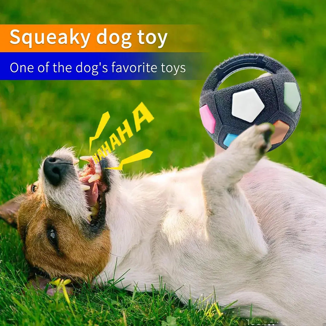 New football tennis ball shaped pet dog toys, durable teething relief to accompany outdoor training squeak toys WLP Company