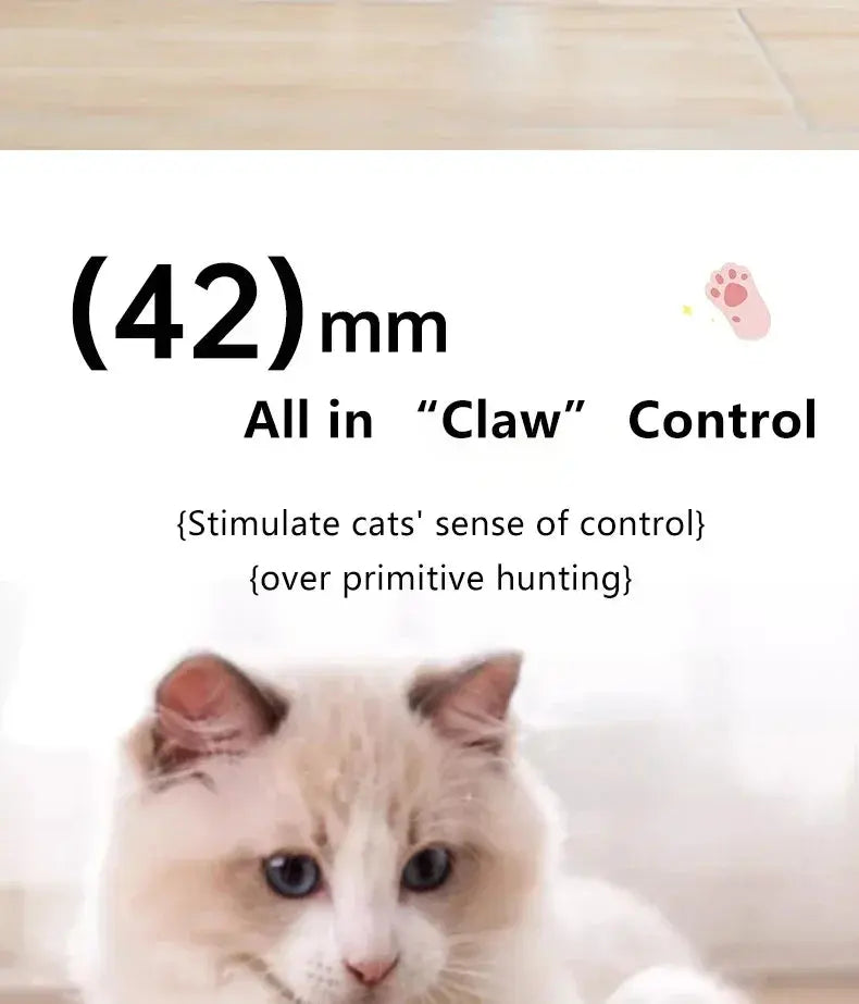 Cat Interactive Ball Smart Cat Toys for Pet Indoor WLP Company