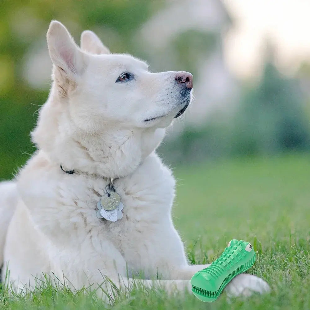 Pet Dog Chew Toys Rubber Chew Toy Aggressive Chewers Dog Toothbrush Doggy Puppy Dental Care For Dog Pet Accessories WLP Company