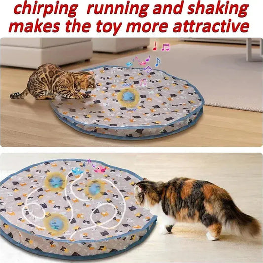 Smart Interactive Cat Toys Ball Fast Rolling in Pouch Hide and Seek Kitten Toy Motion Activated Interactive Cat Toy for Indoor WLP Company