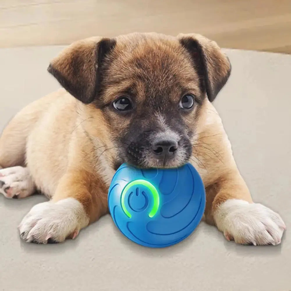1PC Smart Dog Toy Ball Electronic Interactive Pet Toy Moving Ball USB Automatic Moving Bouncing For Puppy Kitten Birthday Gift WLP Company