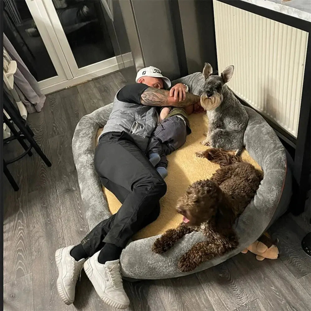 Jumbo Large Orthopedic Dog Bed Memory Foam Pet Sofa Couch Waterproof Elevated Cushion Warm Puppy Bolster Couch Removable Cover WLP Company