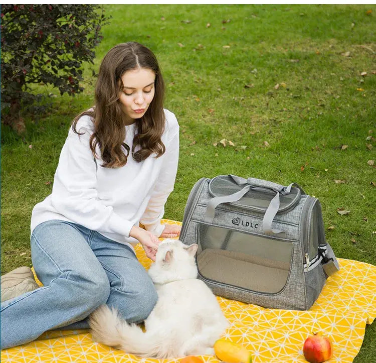 Portable Cat Bag Car-mounted Large Side Window Can Be Equipped with Trolley Pet Bag Breathable Travel Shoulder Folding Cat Bag WLP Company