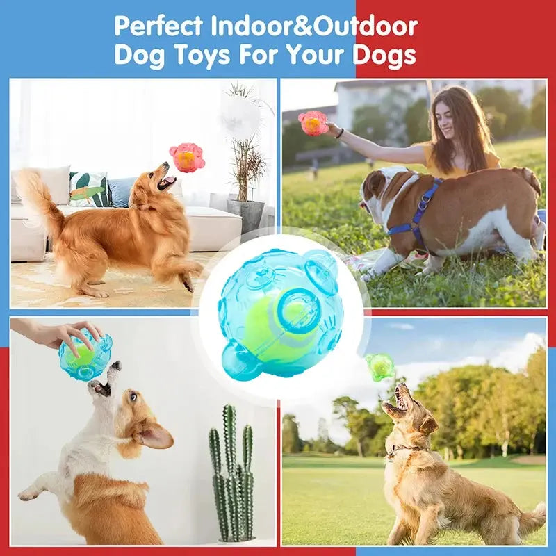 Pet Dog Chew Toy Cute Bear Head Resistant Bite Puppy Toys with Tennies Teeth Cleaning Sound Dog Toy Large Small Dog Squeaky Toy WLP Company
