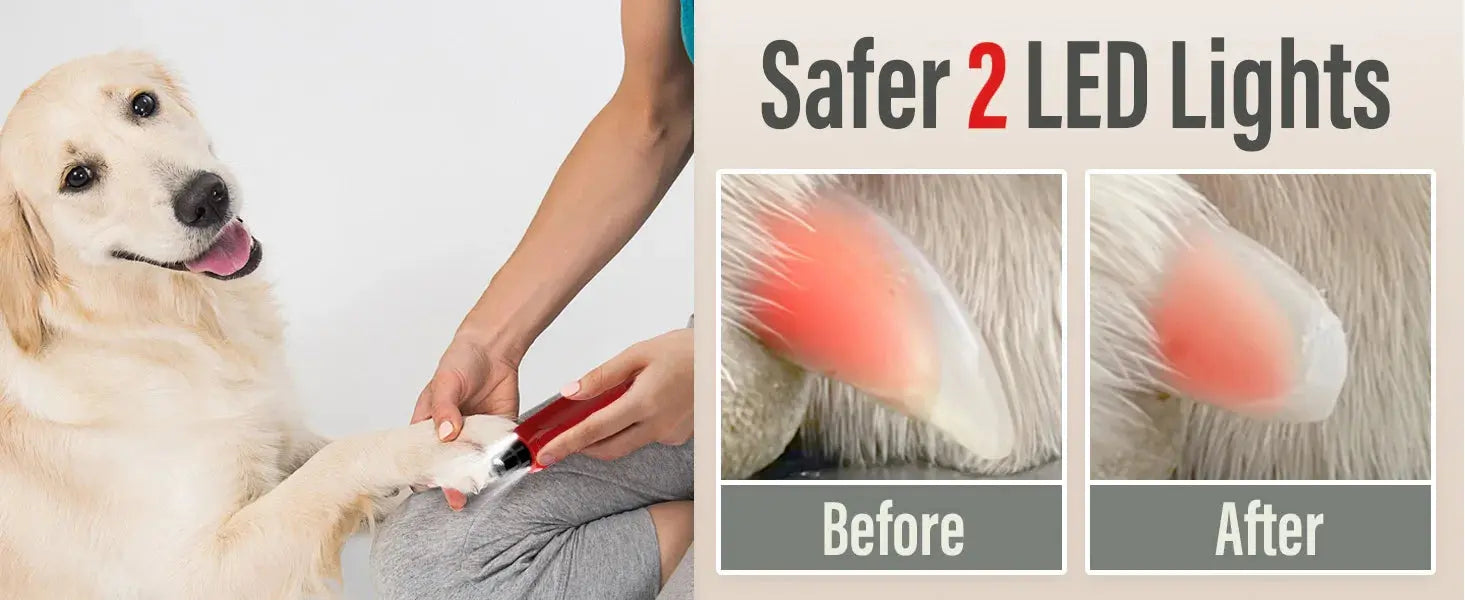 Dog Nail Grinder Dustproof with 2 LED Light - Super Quiet Powerful 6-Speed Nail Trimmer File for Small Medium Large Dogs WLP Company