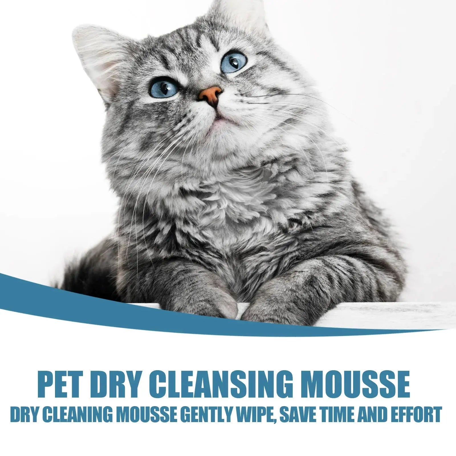 Pet Dry Shampoo Puppy Kitten Dry Cleaning Foam Shampoo Safe Bathless Cleaning Odor Eliminator Itch Relief Pet Grooming Supplies WLP Company