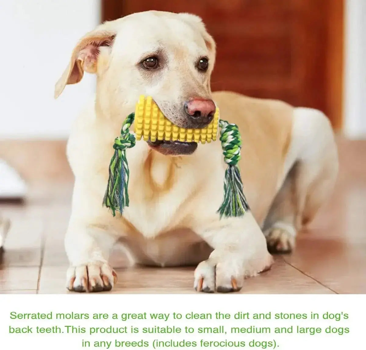 Dog Chew Toys for Aggressive Chewers, Teeth Cleaning Chew Toy,Corn Shape Interactive Dog Dental Toys for Medium Large Puppy Dogs WLP Company