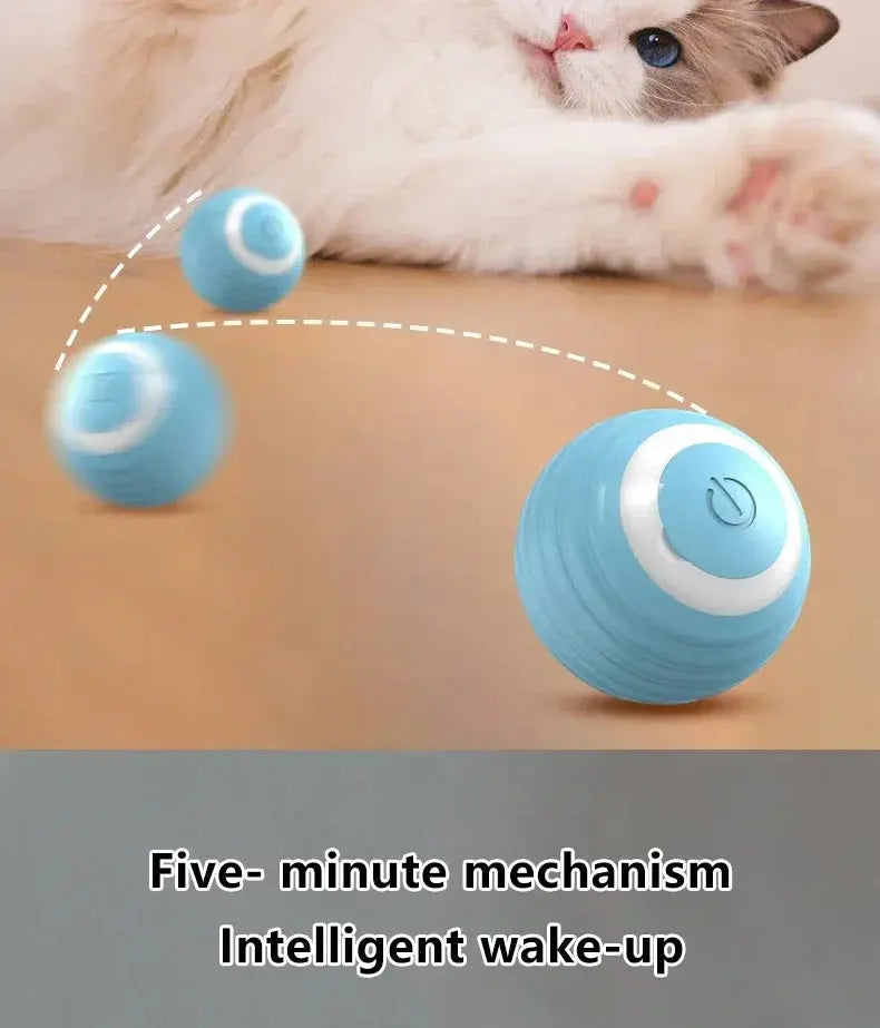 Cat Interactive Ball Smart Cat Toys for Pet Indoor WLP Company
