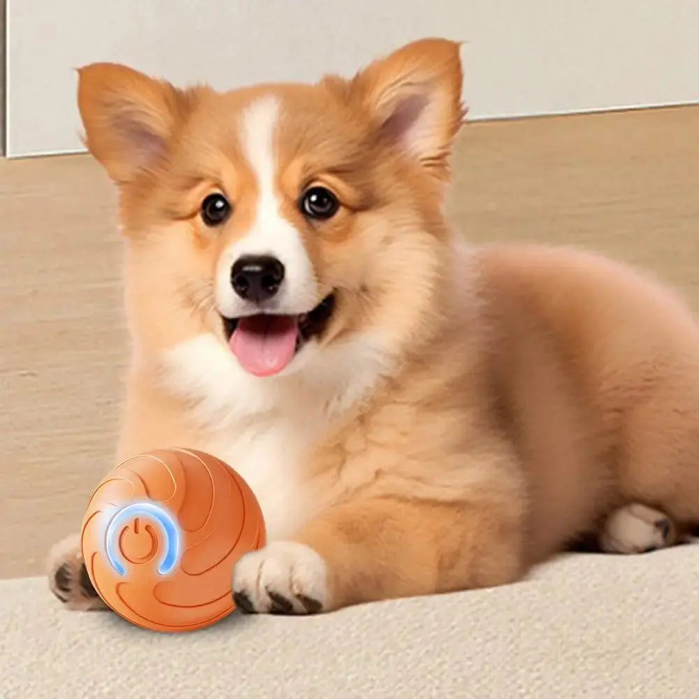 1PC Smart Dog Toy Ball Electronic Interactive Pet Toy Moving Ball USB Automatic Moving Bouncing For Puppy Kitten Birthday Gift WLP Company